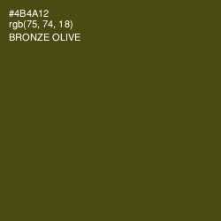 #4B4A12 - Bronze Olive Color Image